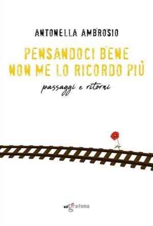 PENSANDOCI BENE NON ME LO RICORDO PIU'